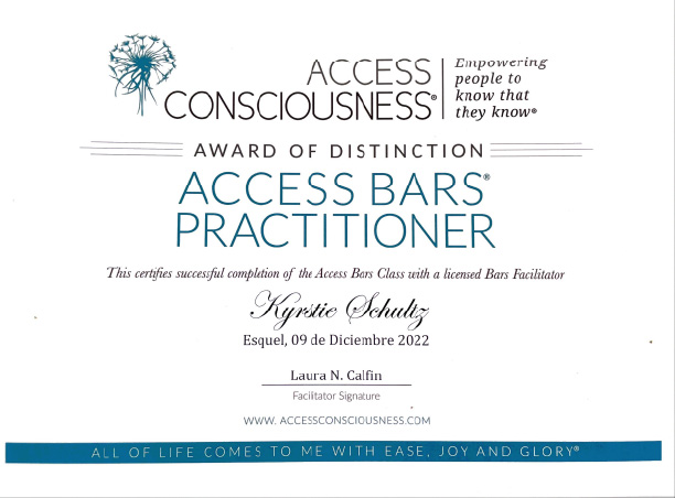 Access Bars Practitioner